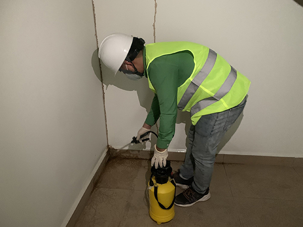 Termite prevention for construction works