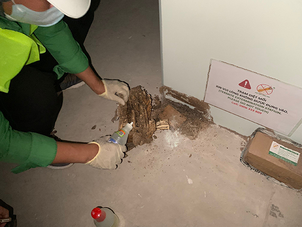 Termite prevention for construction works