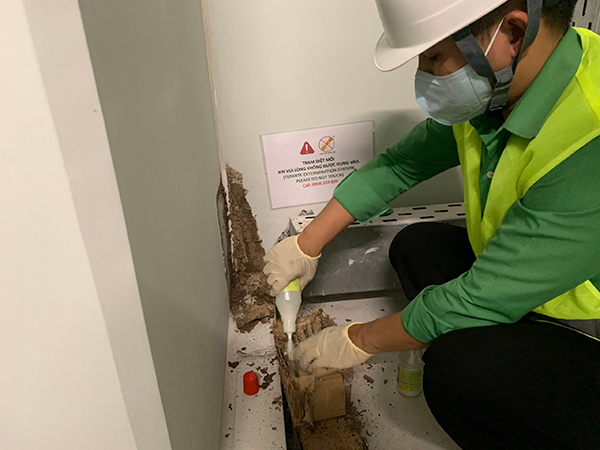 Termite prevention for construction works