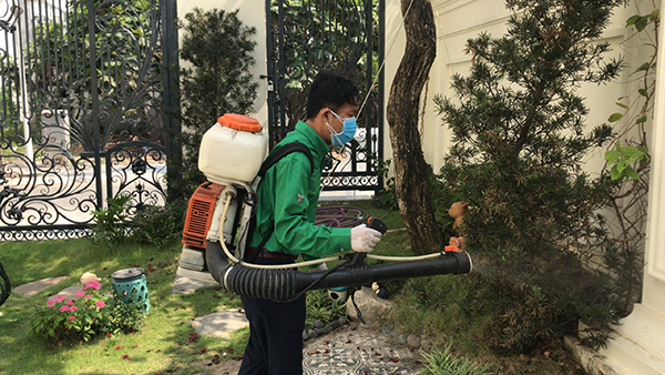Pest and termite spraying services