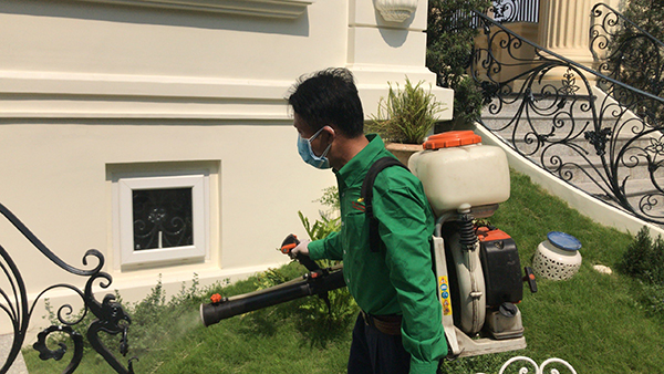 Pest and termite spraying services