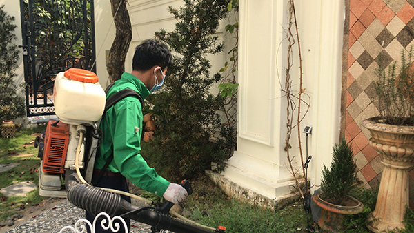 Pest and termite spraying services