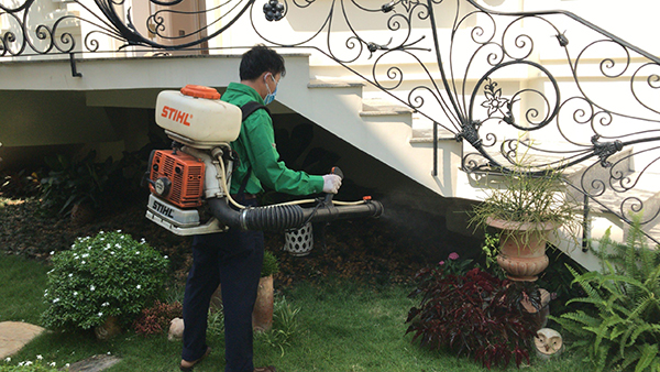 Pest and termite spraying services