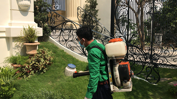 Pest and termite spraying services