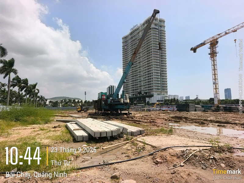 Pile driving construction