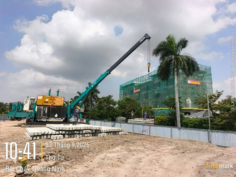 Pile driving construction