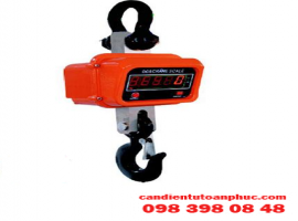 OCS hanging scale