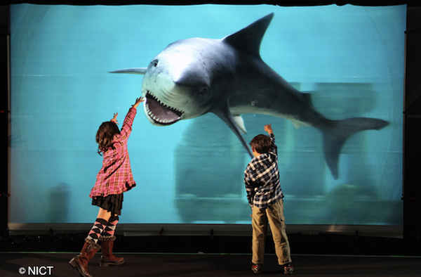 Applo projection screen
