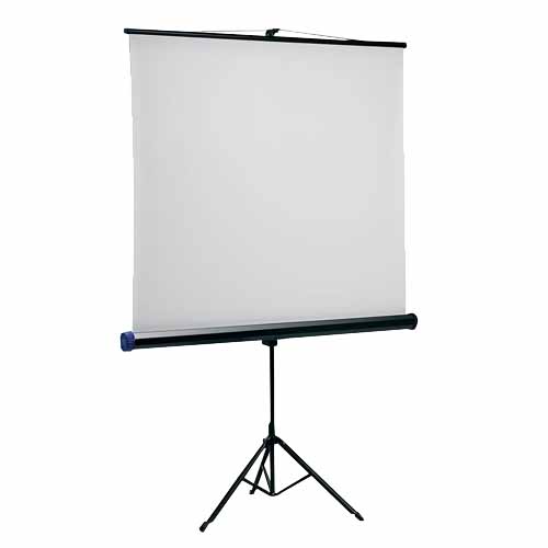 Dalite projection screen