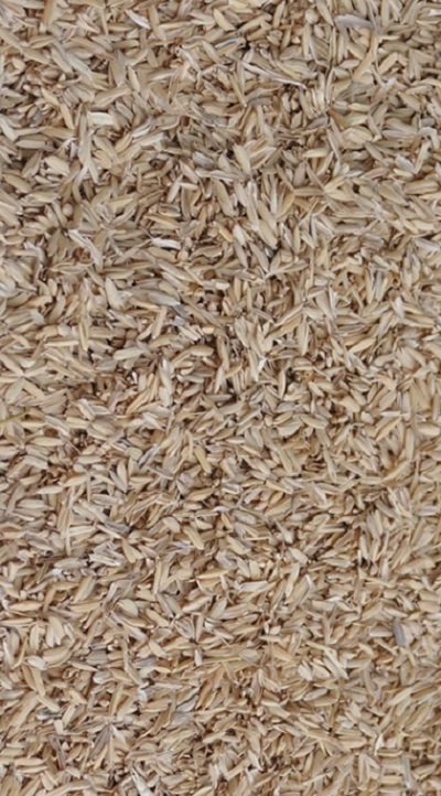Rice husk