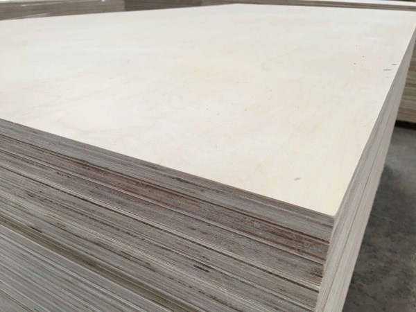Birch plywood