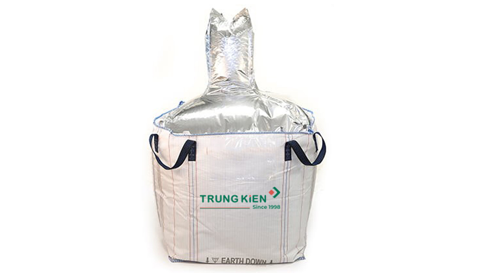 FIBC bags with liners