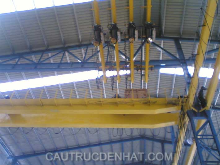 Double Girder Overhead Crane