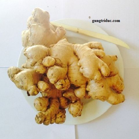 Other ginger products
