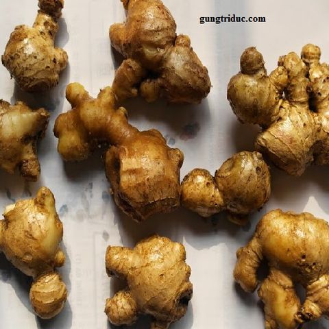 Other ginger products