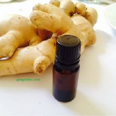 Ginger essential oil