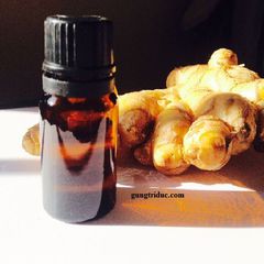Ginger essential oil