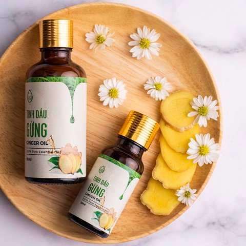 Ginger essential oil
