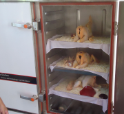 Steamed rice cabinet
