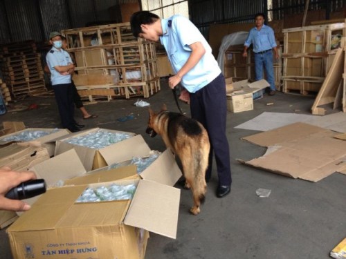 Customs service