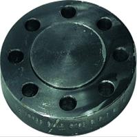 ANSI Flange