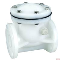 PVDF 1-way valve