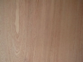 Film Faced Plywood
