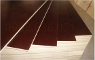 Film Faced Plywood