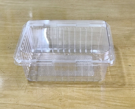 Fruit plastic box