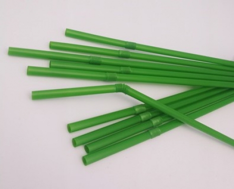Biodegradable straws