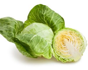 Cabbage