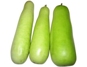 Gourd