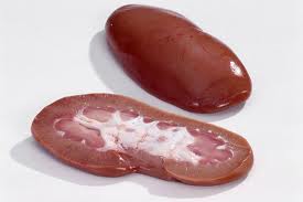 Kidney