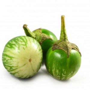 Round eggplant