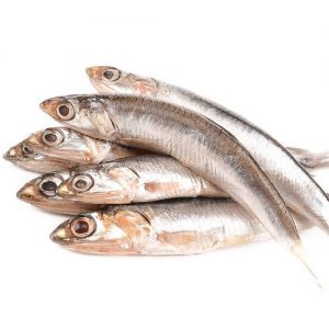 Anchovies