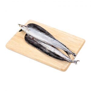 Halfbeak