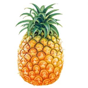 Pineapple