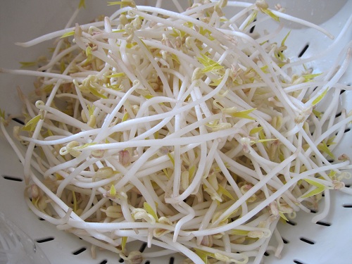 Bean sprouts