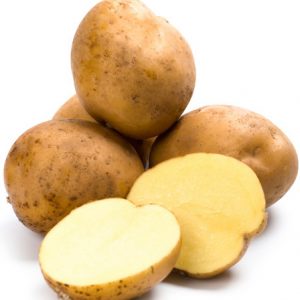 Potato