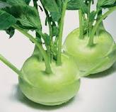 Kohlrabi