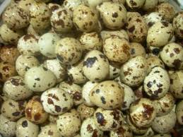 Quail eggs