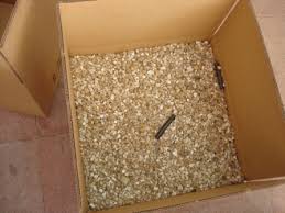 Dangerous goods forwarding service