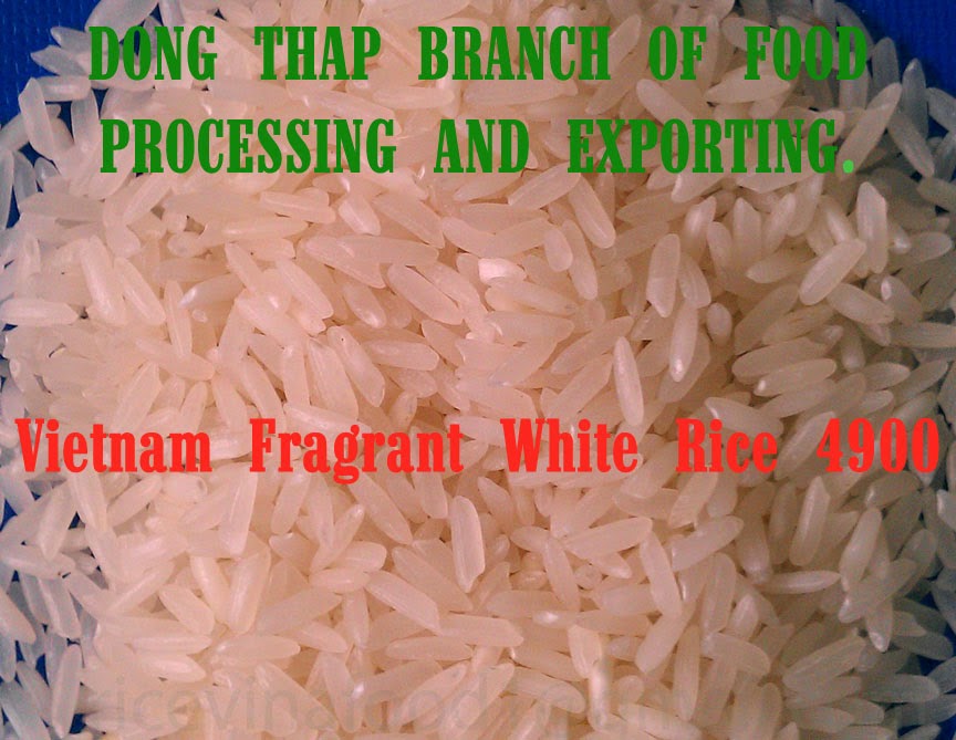 4900 Fragrant Rice