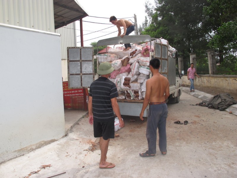 Wood shaving briquettes
