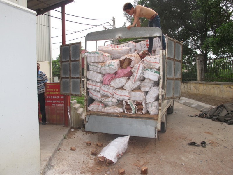 Wood shaving briquettes