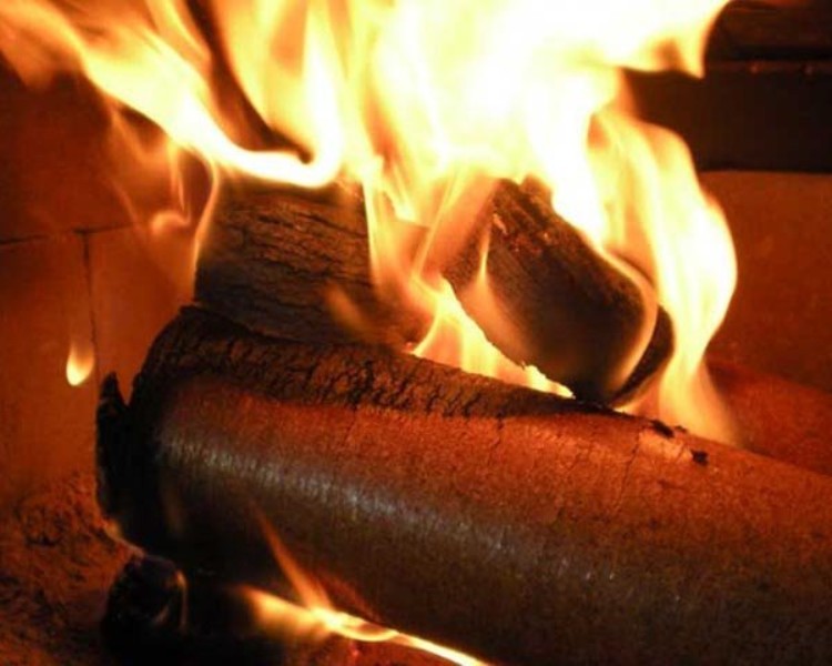 Wood shaving briquette