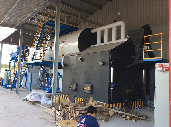 Fixed grate steam boiler