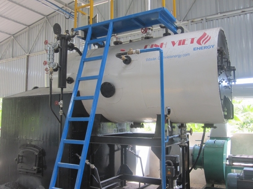 Fixed grate steam boiler