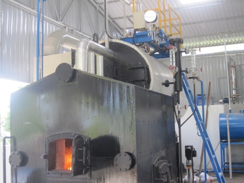 Fixed grate steam boiler