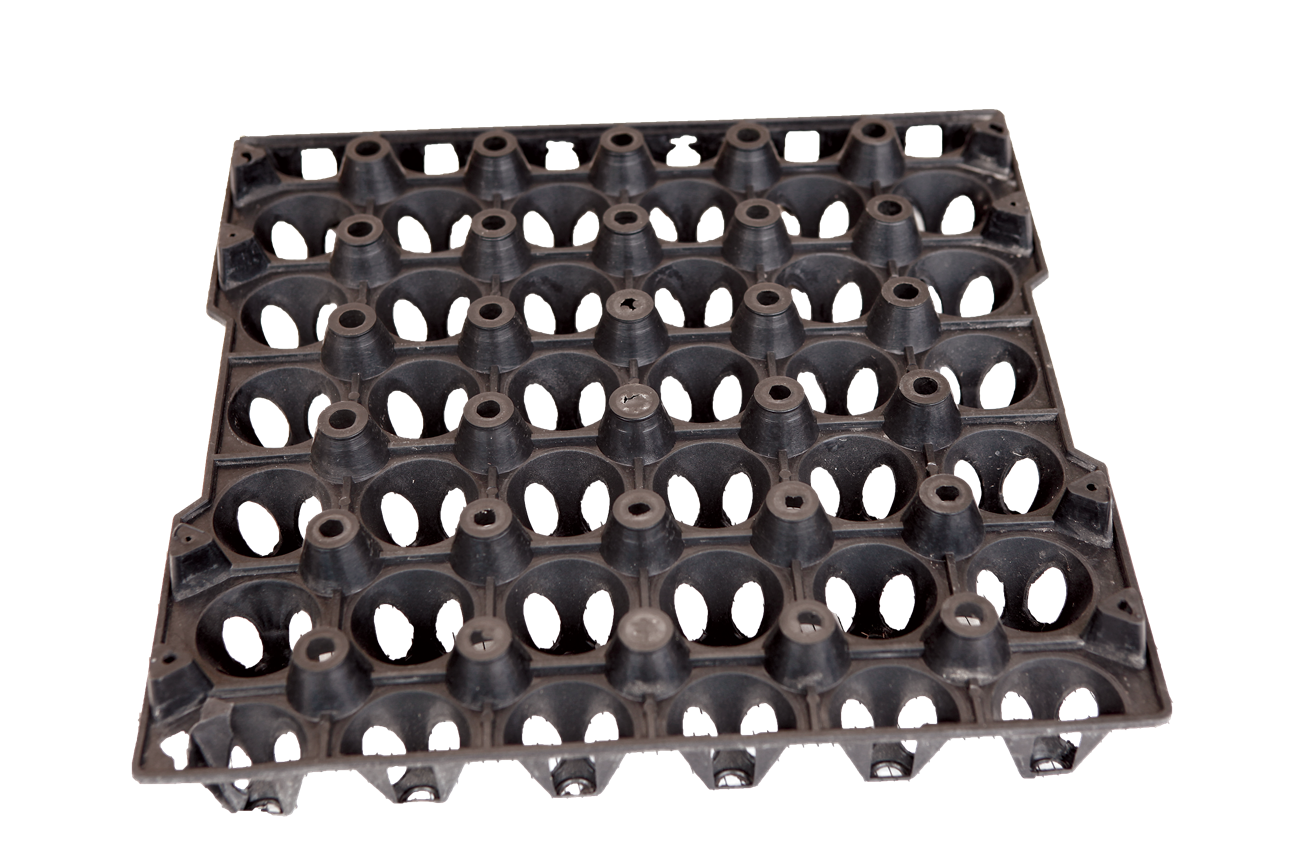 Egg plastic tray
